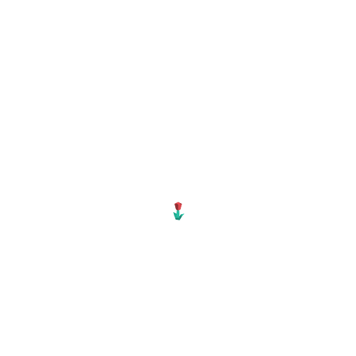 زهرة حمراء