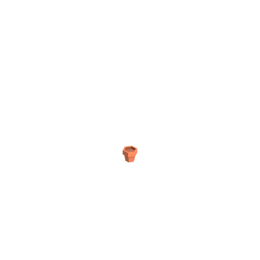 أصيص صغير