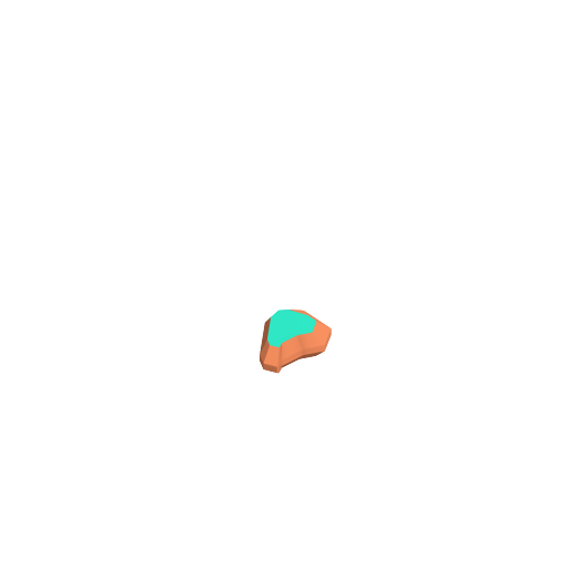 صخرة كبيرة