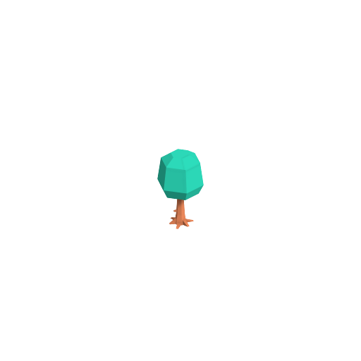 شجرة عريضة